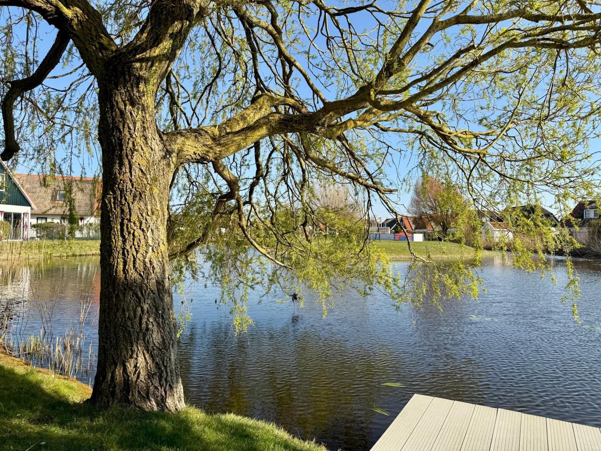 Villa Buitenplaats 47 Калантсоог Екстериор снимка